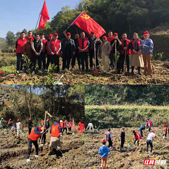 植樹(shù)添綠 獻(xiàn)禮華誕